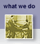 what we do
